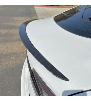 Model S - Carbon Heckspoiler