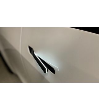 Model Y - Auto present and lighted doorhandles