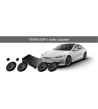 TESMS-DSP-1 audio upgrade