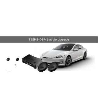 TESMS-AMP-1 audio upgrade