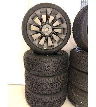 Model Y 20" Induction wheel set with winter tires
