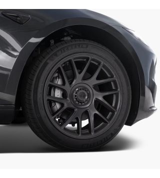 Model 3 Highland - Center Caps for 18" Photon wheels