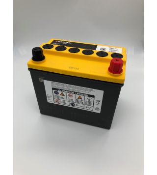 Model S (2016-2021) Facelift - Accu 12V (OEM)