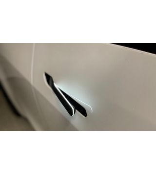 Model 3/Y/3 Highland- Automatisch aanwezig en verlichte deurgrepen 2021+