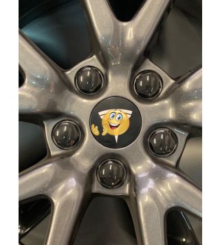 Aero wheel cap kit