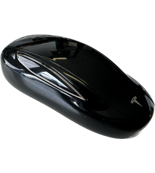 Keyfob Model X  before 2020 (case only)