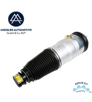  strut shock absorber air suspension front Left/Right Model S