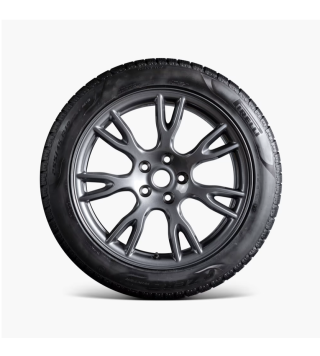 Model S 19" Tempest Cardenio wielen set met winterbanden